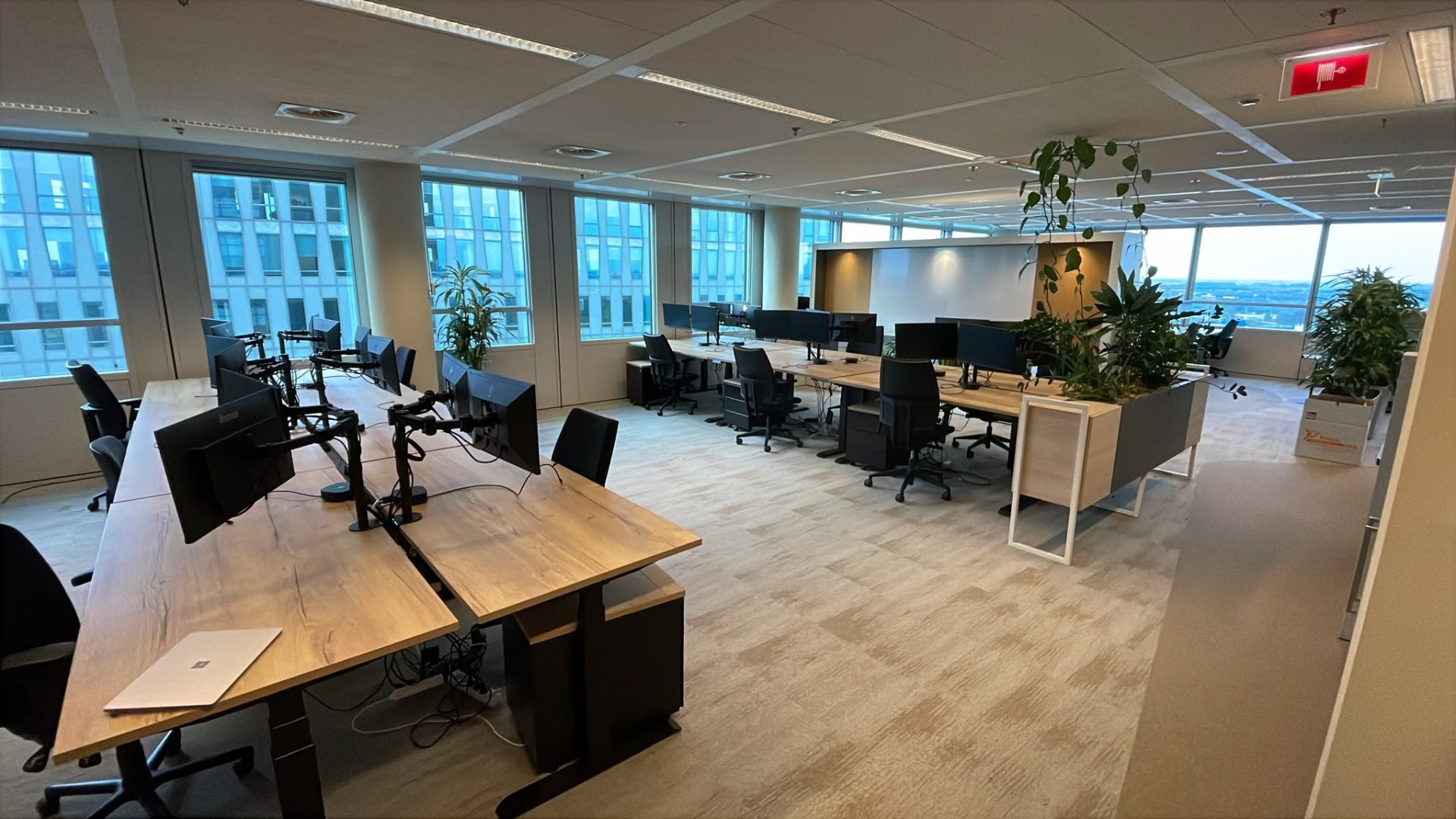 Kantoor van FLEXZ solutions in Zwolle met werkplekken en planten